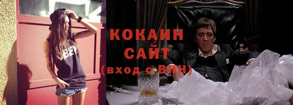 соль ск Алексин