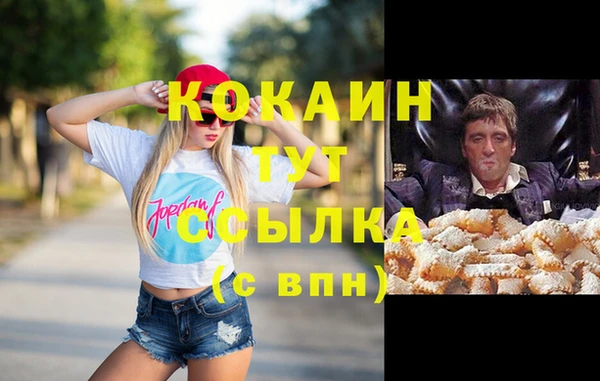 МДПВ Алзамай