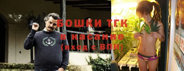 ПСИЛОЦИБИНОВЫЕ ГРИБЫ Алексеевка